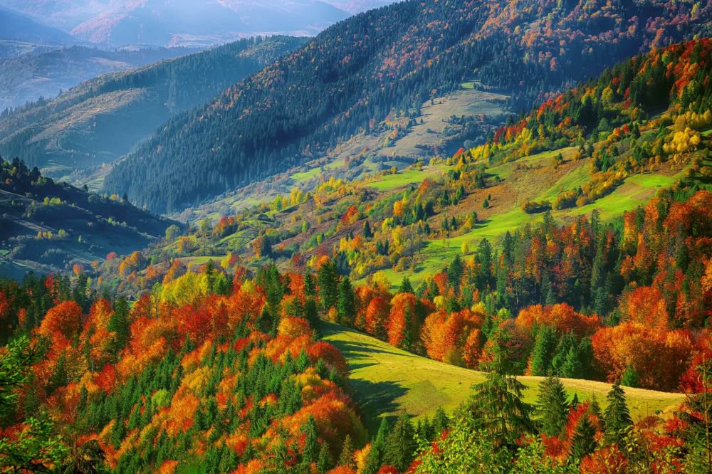 Goldener Herbst in Riesengebirgen