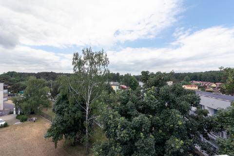 Bursztynowy 18D
